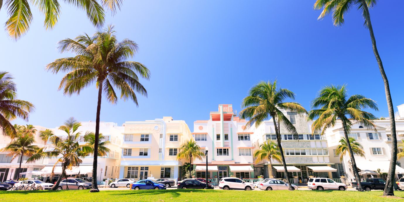 Art Deco buildings and palm trees on Ocean Drive in Miami Beach