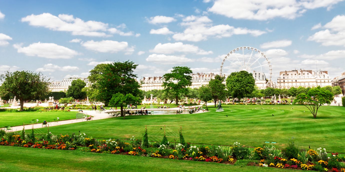Tuileries garden at summer day, green lawn and blue sky with clouds, Paris France