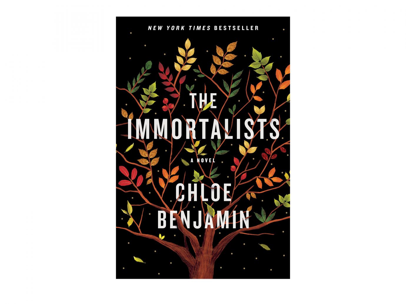 The Immortalists book