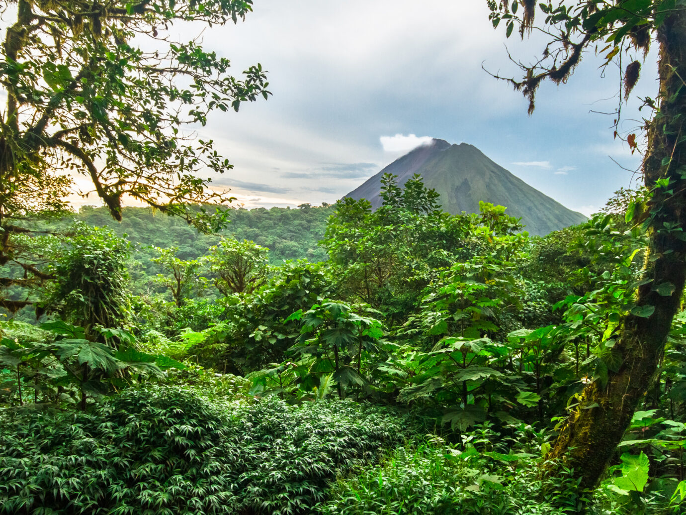 Volcan Arenal rises out of the jungle and dominates the landscape near the town of La Fortuna, Costa Rica.