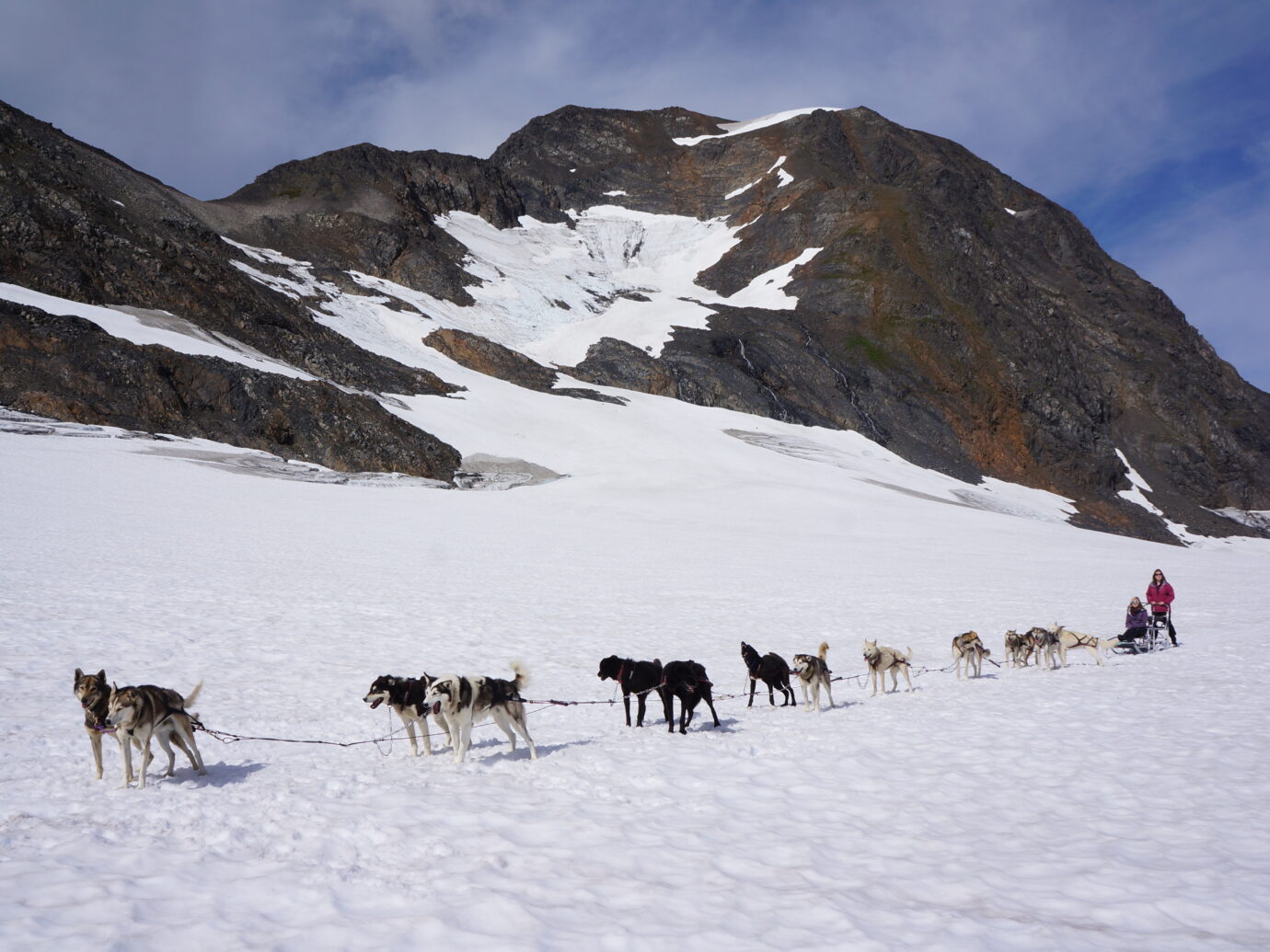 Glacier Dogsledding