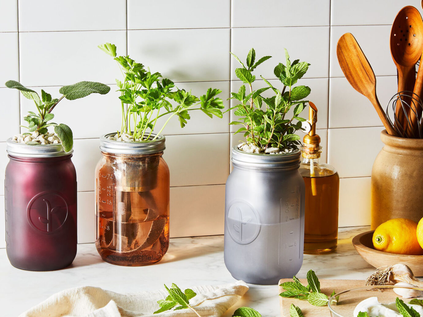Modern Sprout Garden Jar Herb Kit