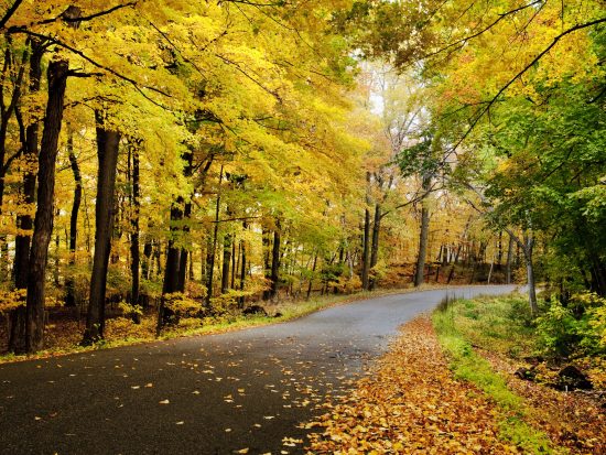 Where to See America's Best Fall Foliage Outside New England | Jetsetter