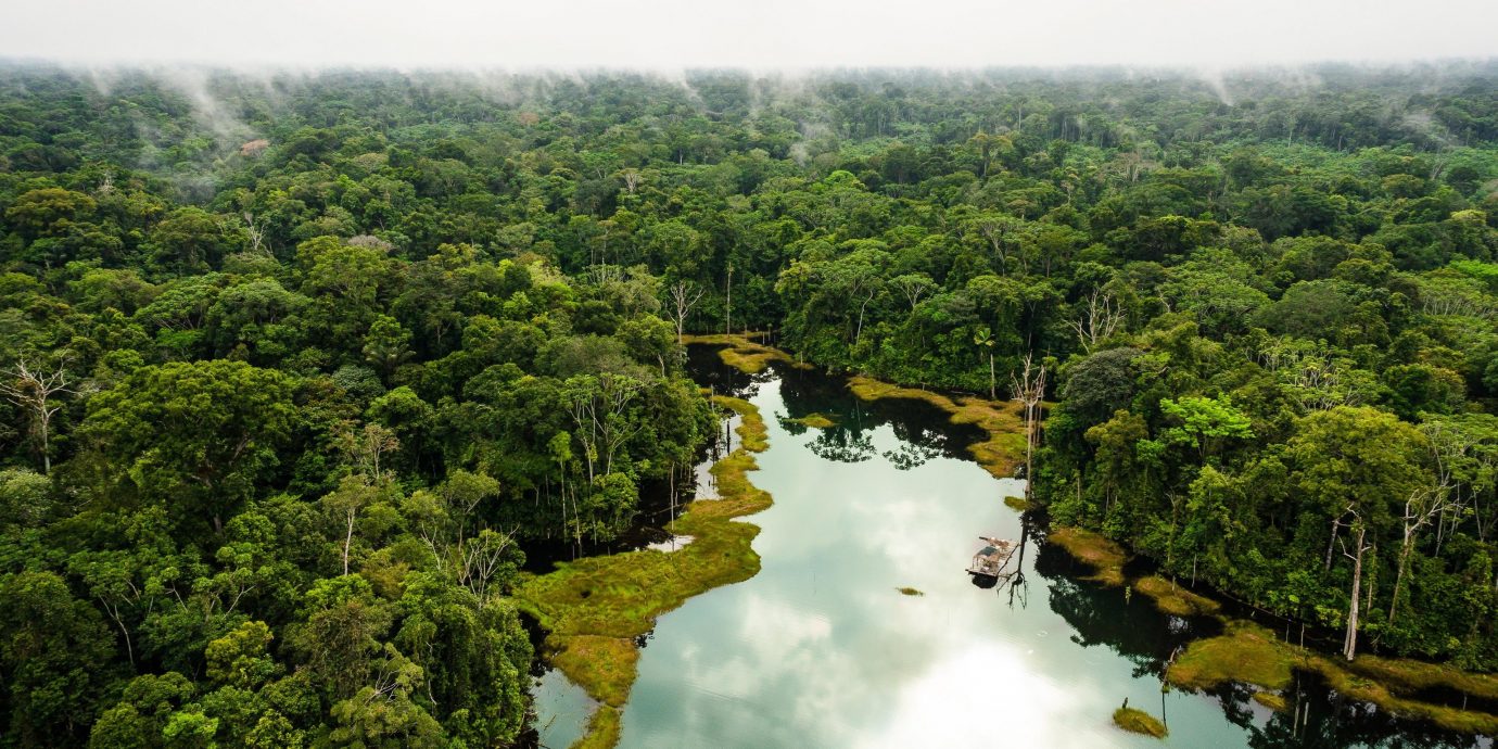  Peruvian Amazon
