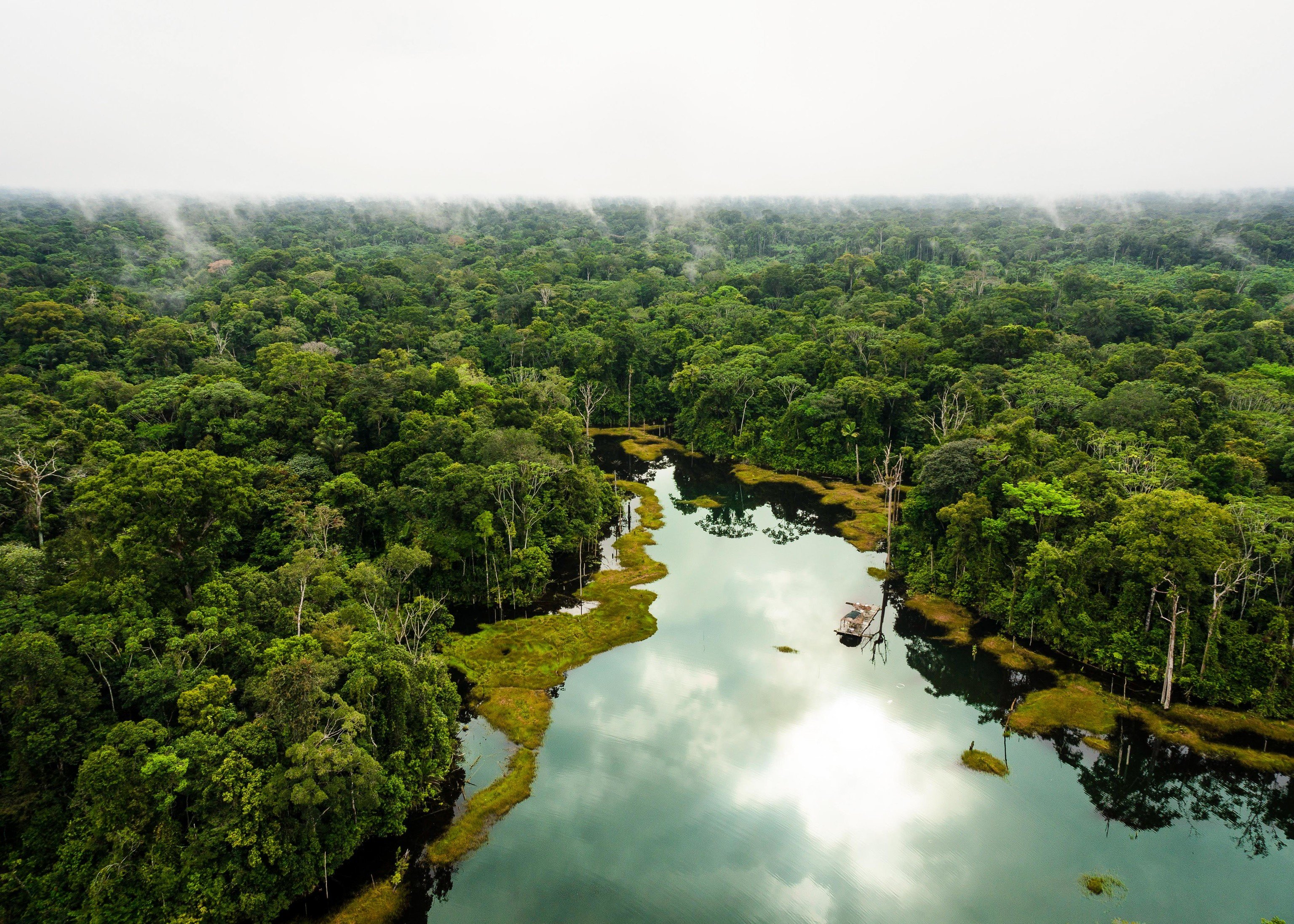 9 Things To Know Before You Go To The Amazon Rainforest