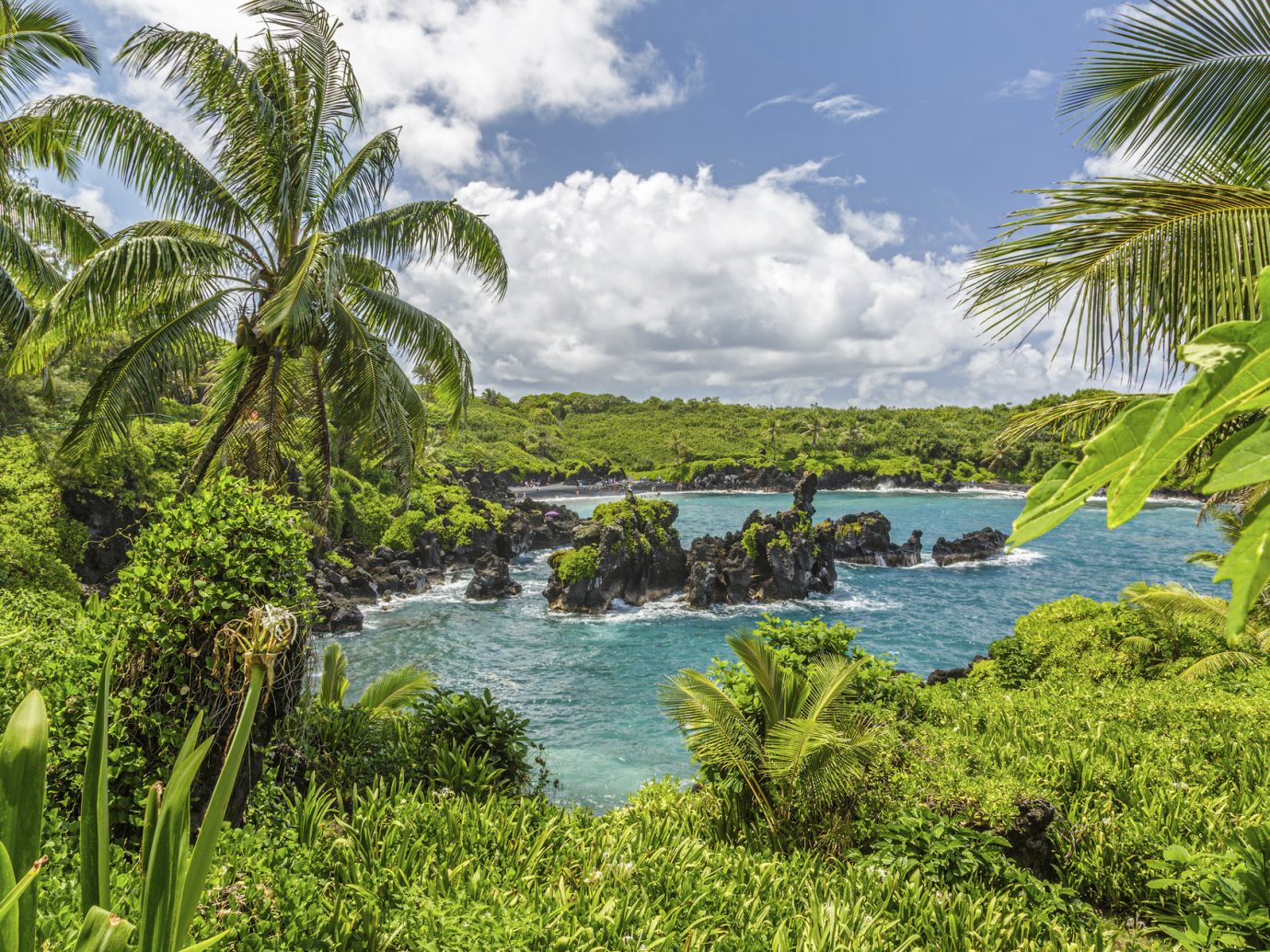 which hawaiian island to visit in november