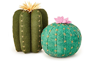 Cactus Bloom Throw Pillows