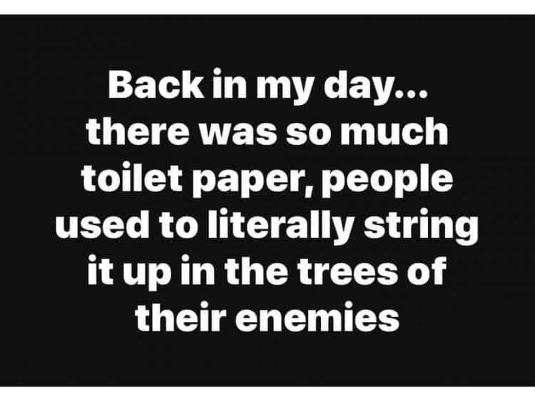 Toilet Paper Meme