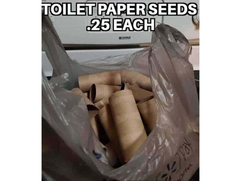 18 Quarantine Toilet Paper Memes That Hit Too Close to ...