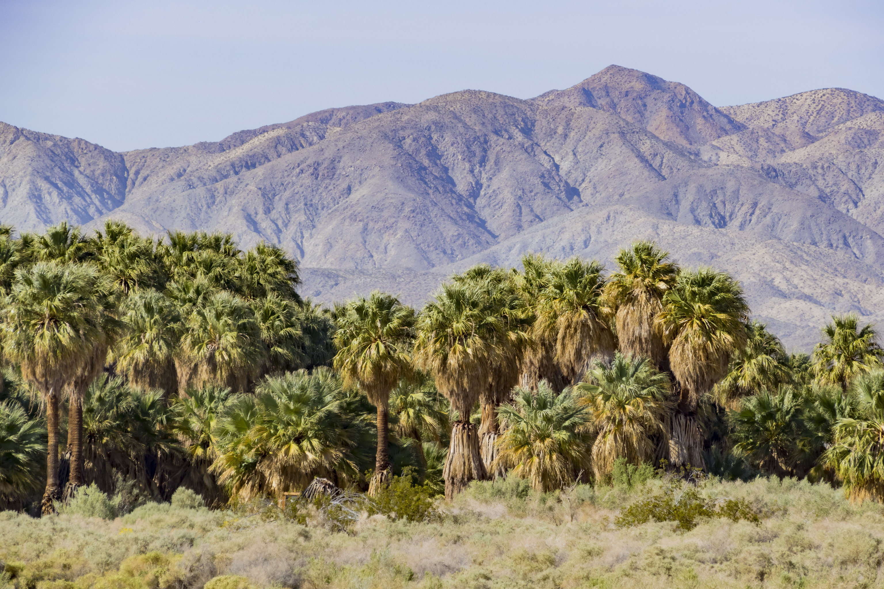 5 MustHike Trails in the Coachella Valley